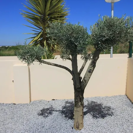 Marques Da Luz By Interhome Holiday home *